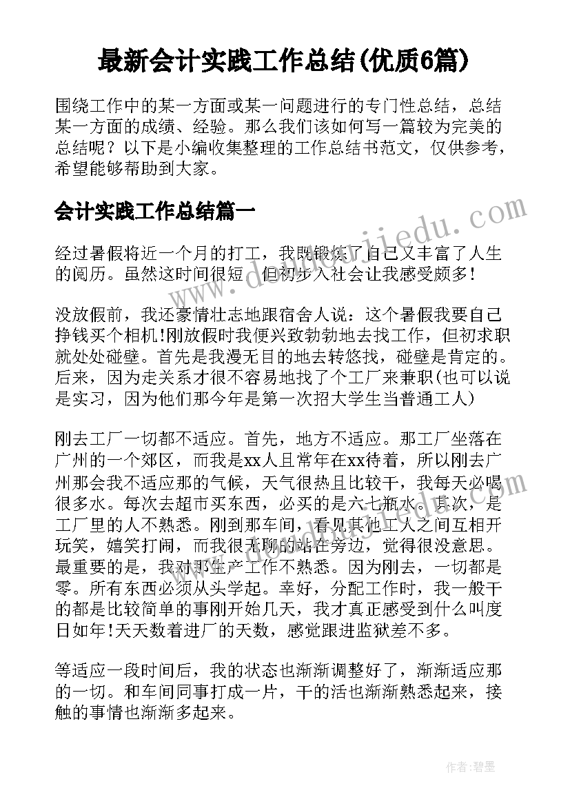 最新会计实践工作总结(优质6篇)