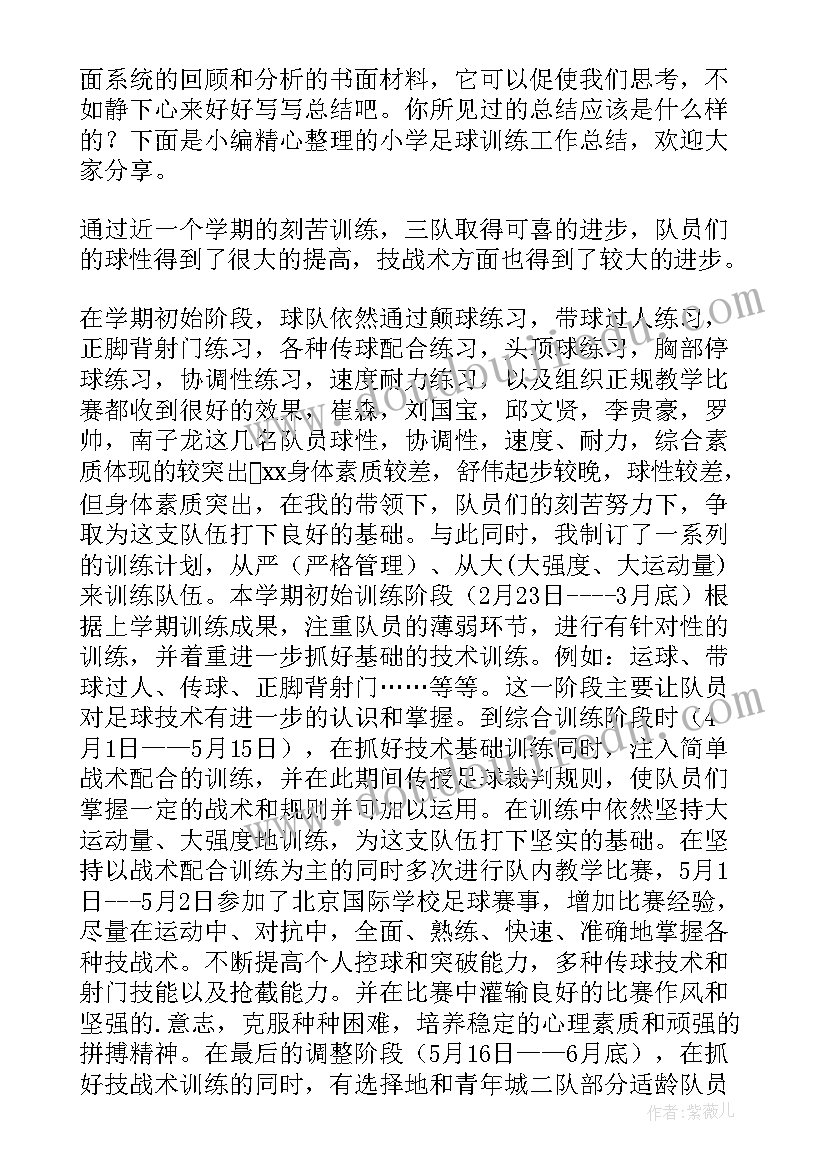 2023年集中训练方案 田径训练工作总结(大全9篇)