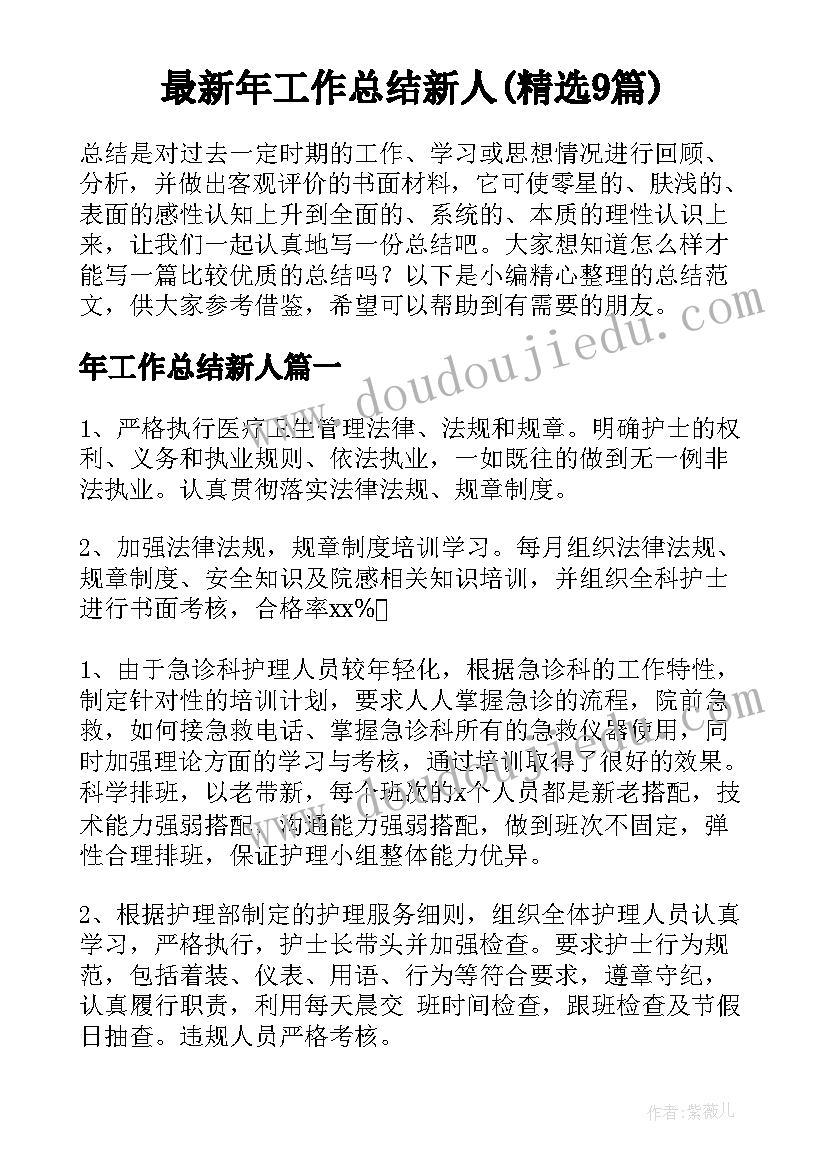 最新年工作总结新人(精选9篇)