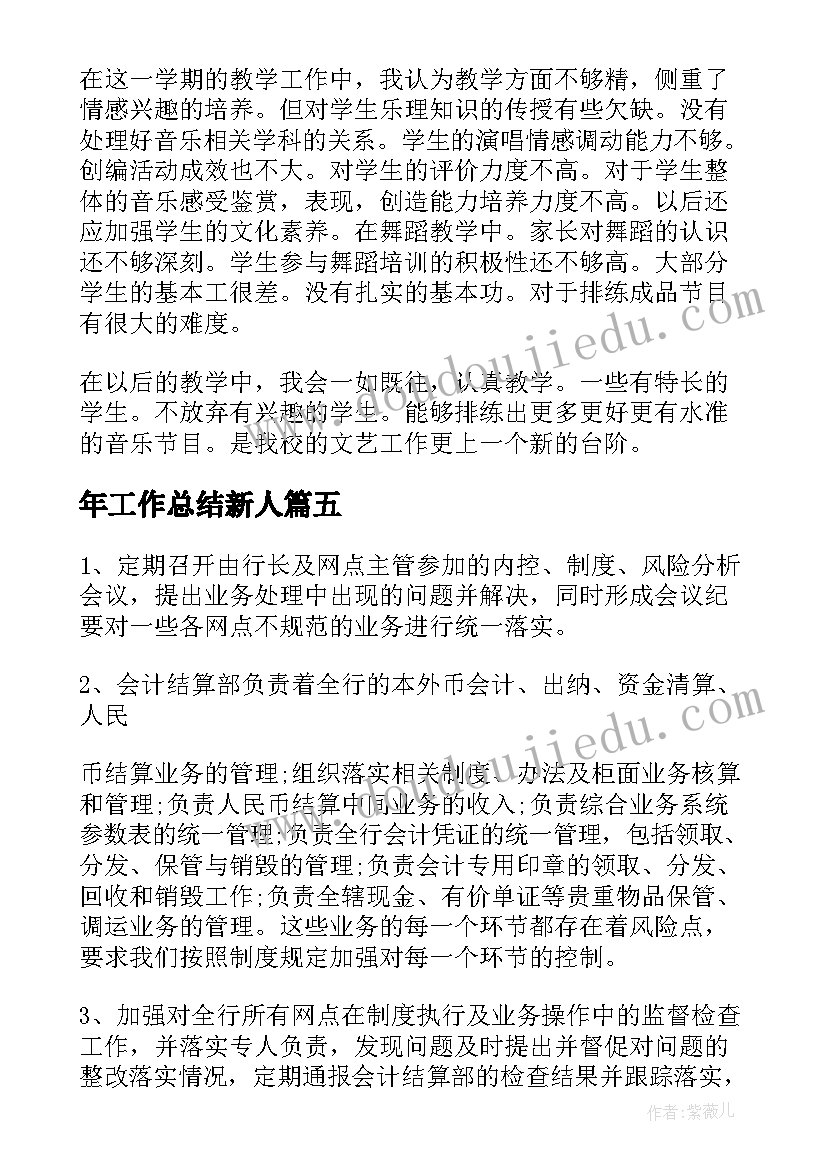 最新年工作总结新人(精选9篇)