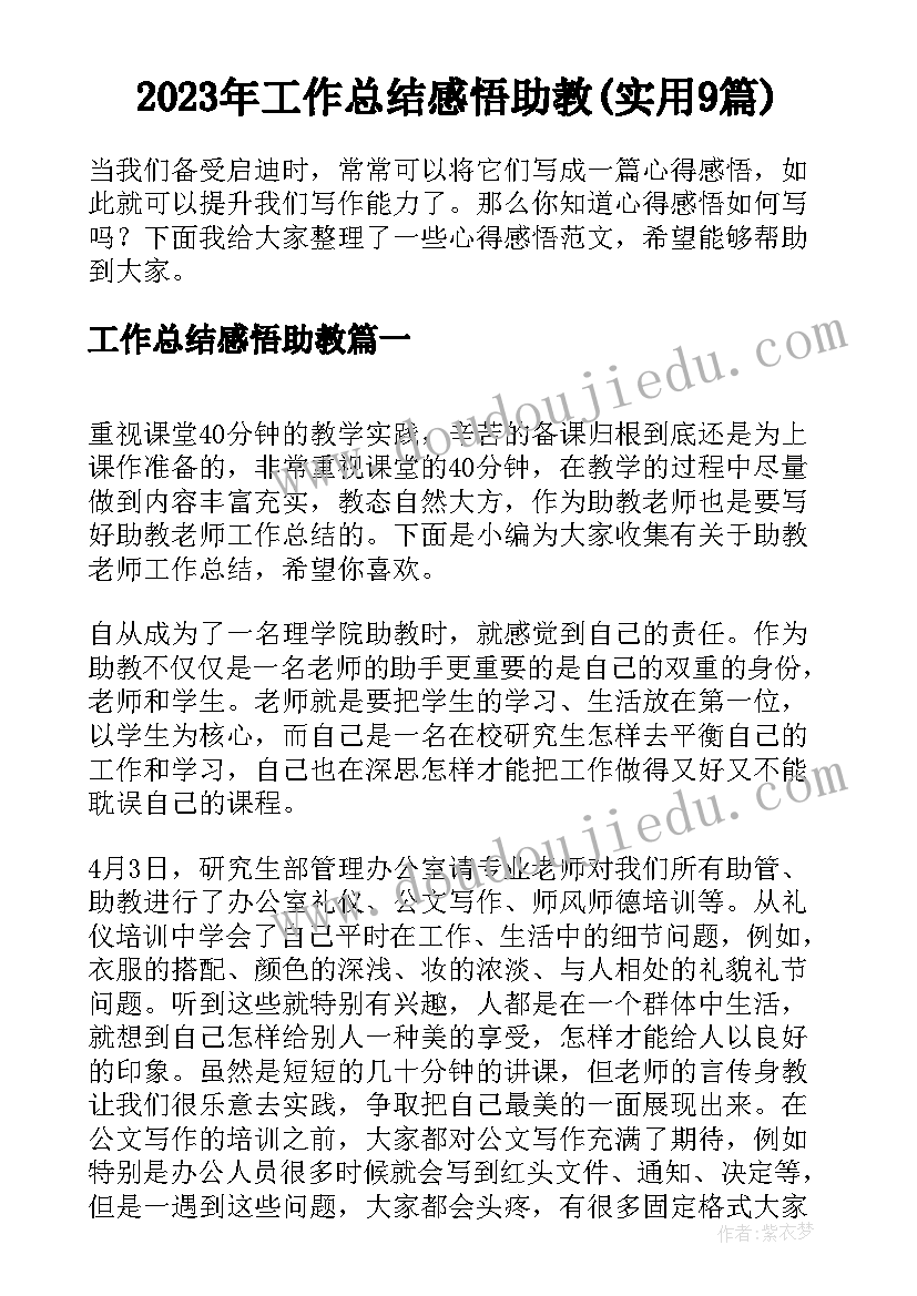 2023年工作总结感悟助教(实用9篇)