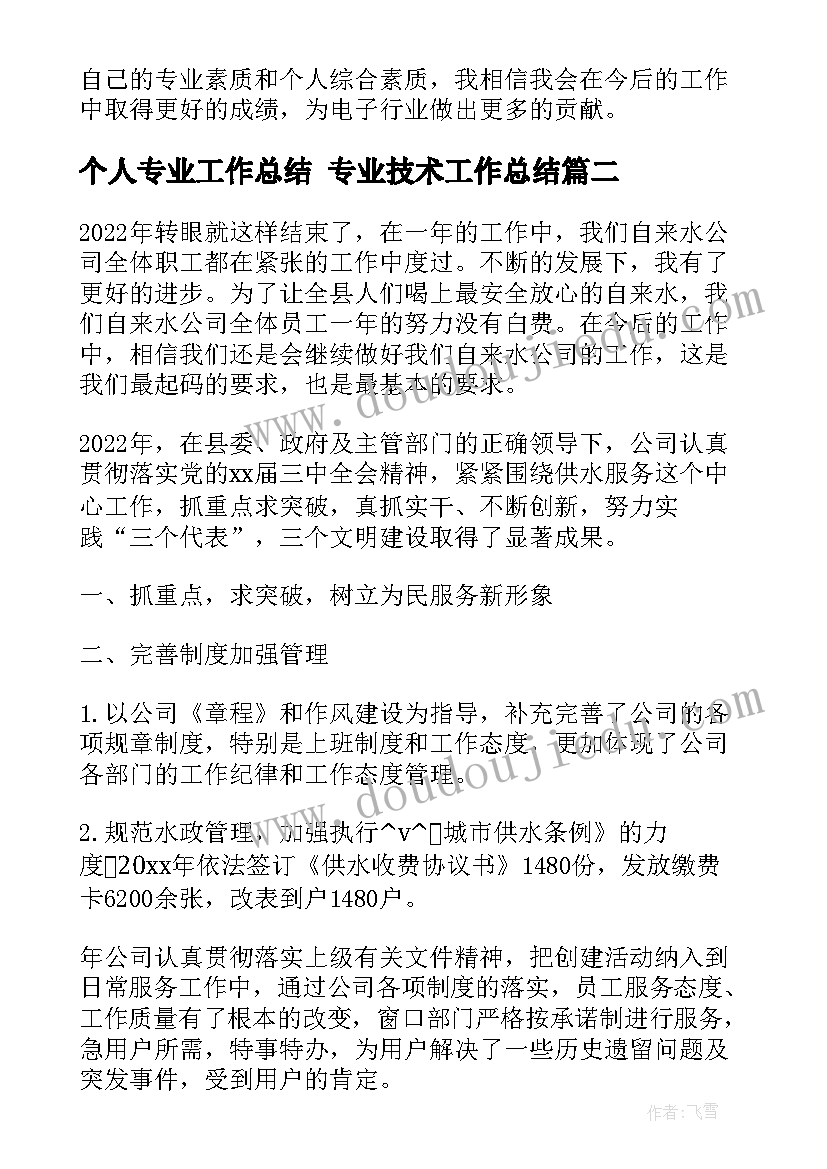 个人专业工作总结 专业技术工作总结(大全9篇)