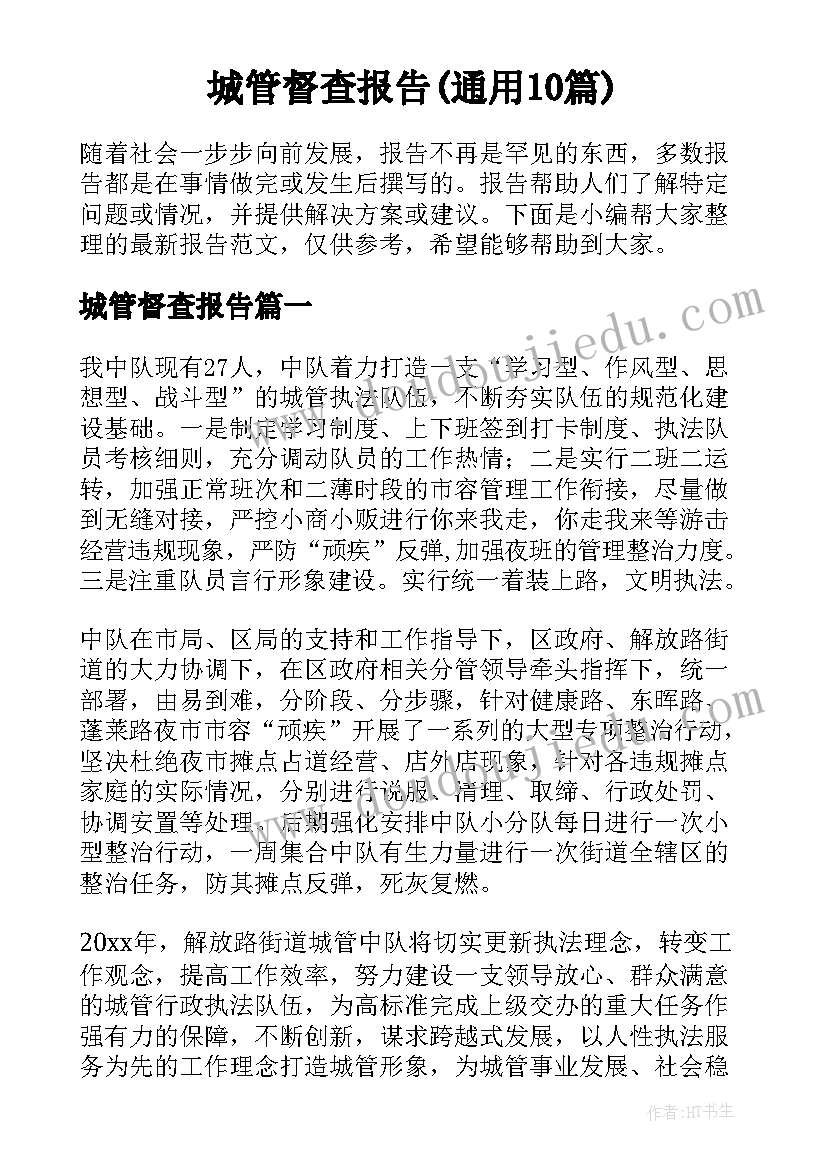 城管督查报告(通用10篇)