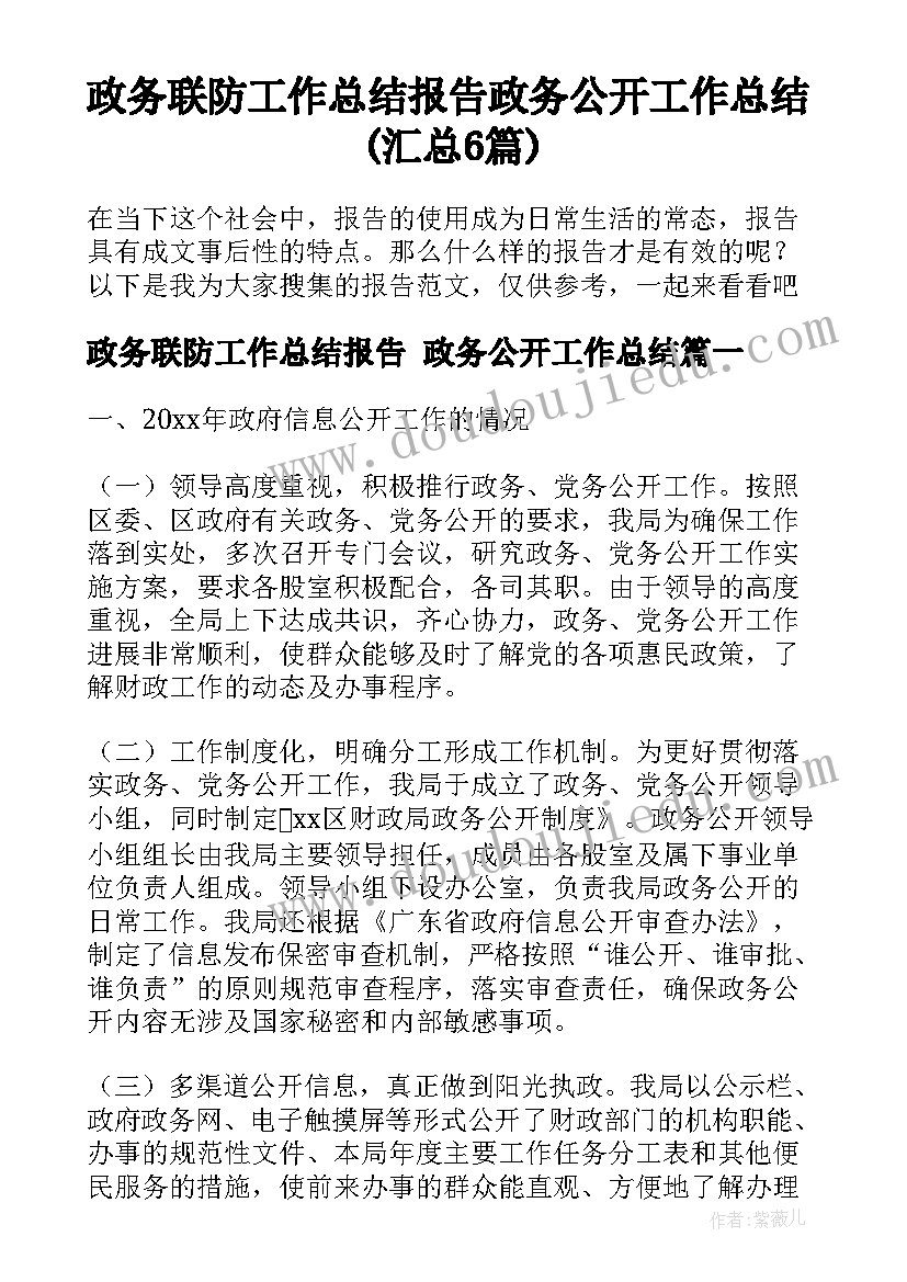 政务联防工作总结报告 政务公开工作总结(汇总6篇)