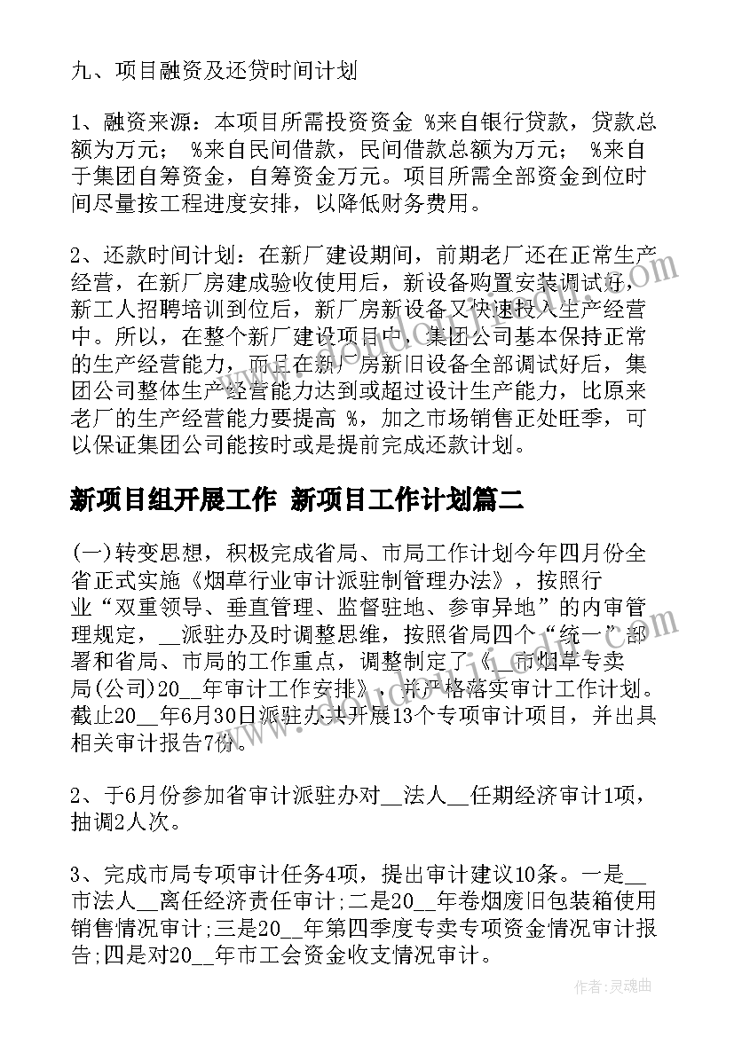 2023年新项目组开展工作 新项目工作计划(模板5篇)