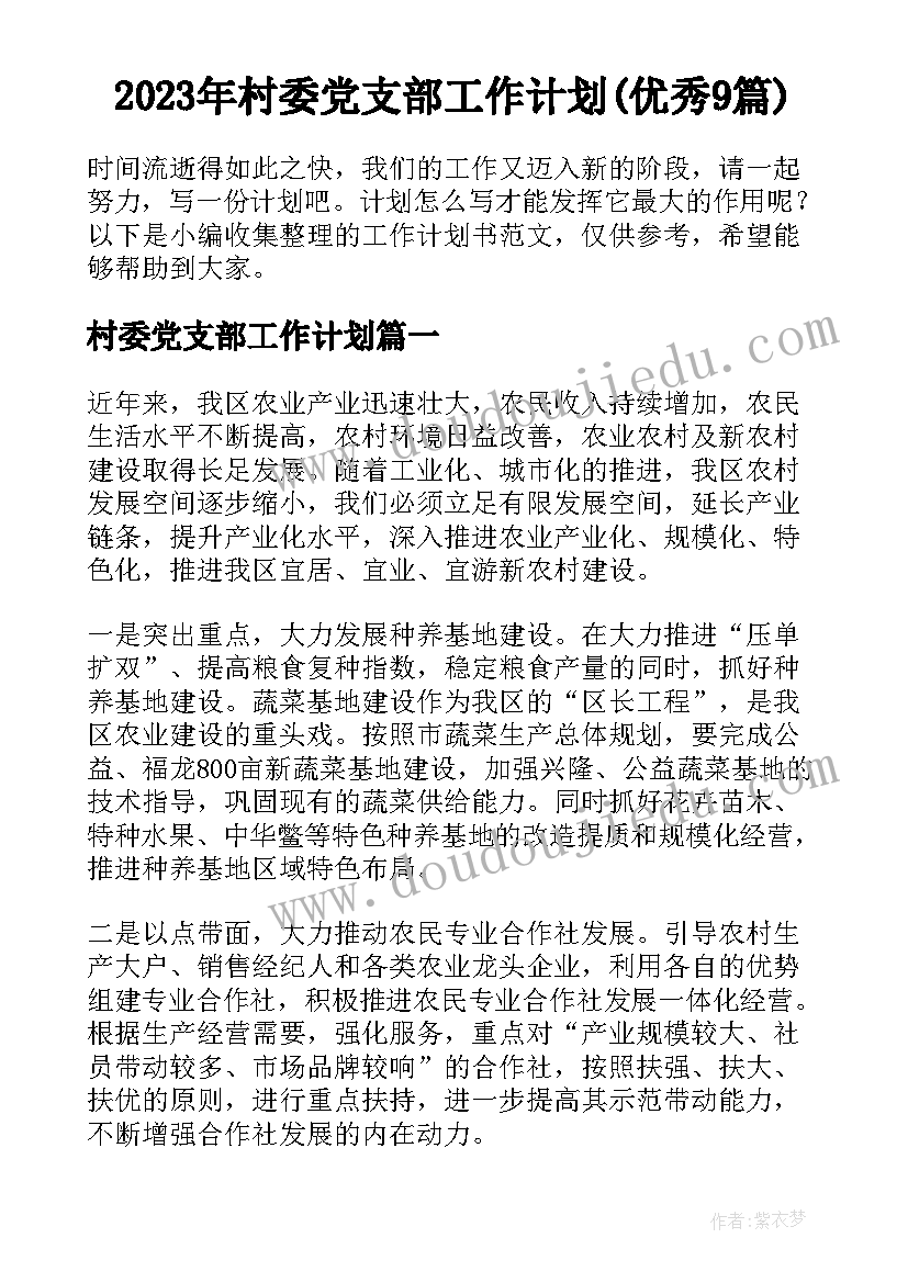 2023年村委党支部工作计划(优秀9篇)