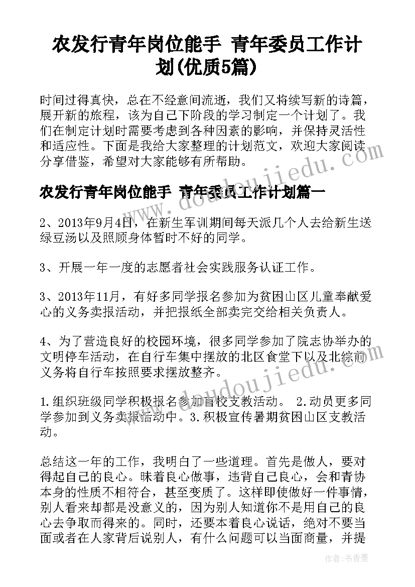 农发行青年岗位能手 青年委员工作计划(优质5篇)