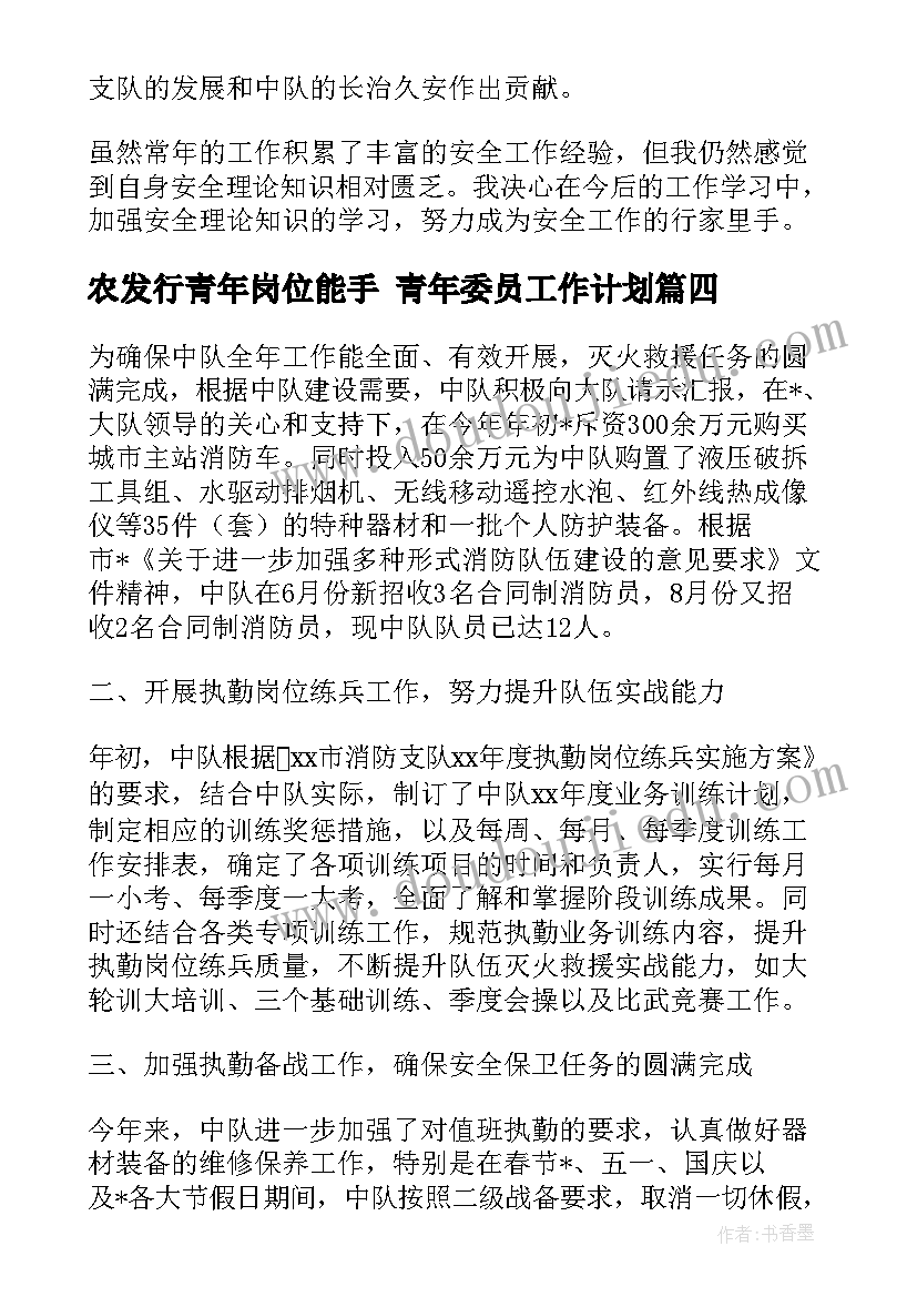 农发行青年岗位能手 青年委员工作计划(优质5篇)