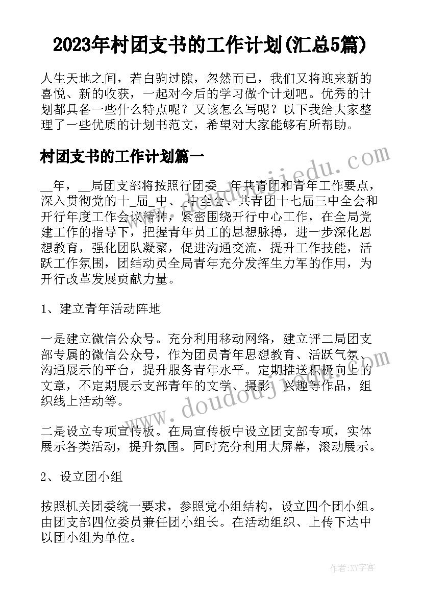 2023年村团支书的工作计划(汇总5篇)