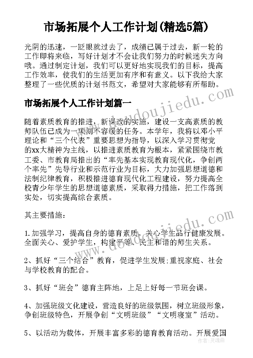 市场拓展个人工作计划(精选5篇)