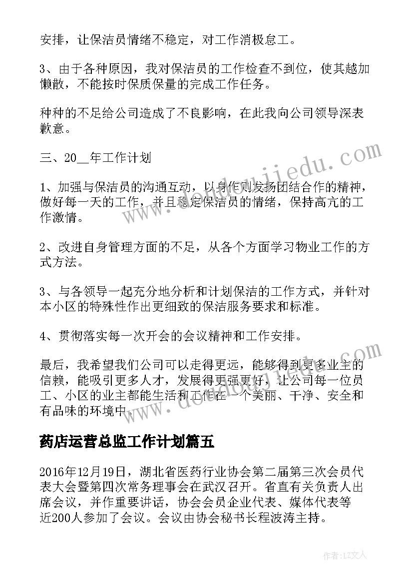 2023年药店运营总监工作计划(实用5篇)