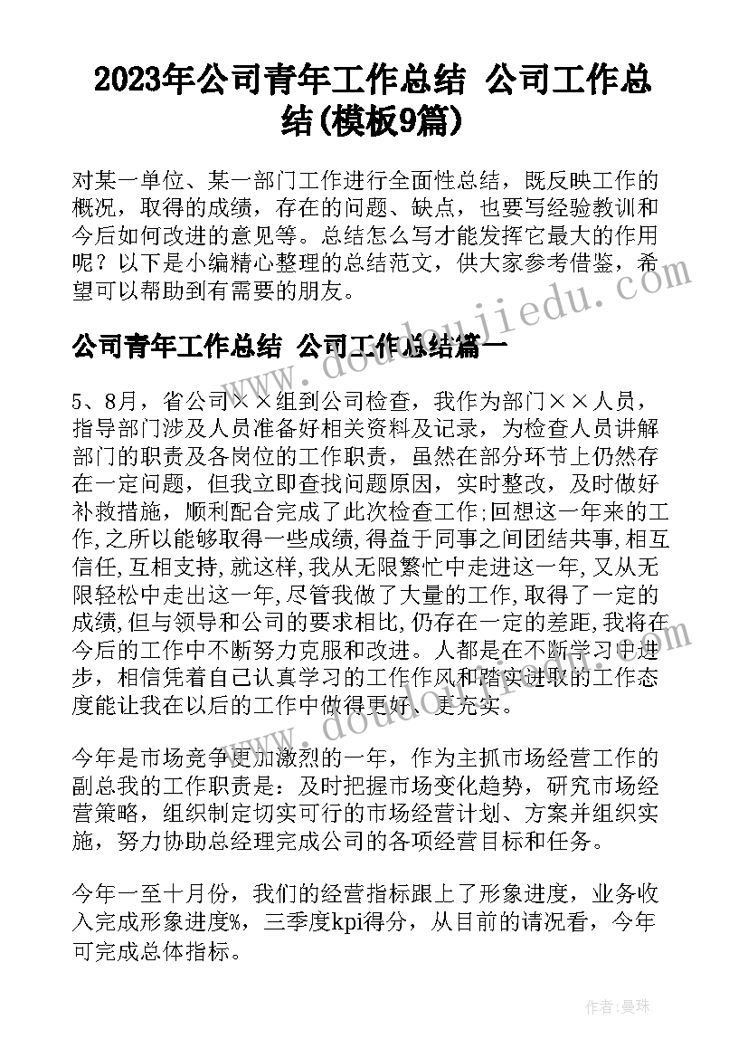 2023年公司青年工作总结 公司工作总结(模板9篇)