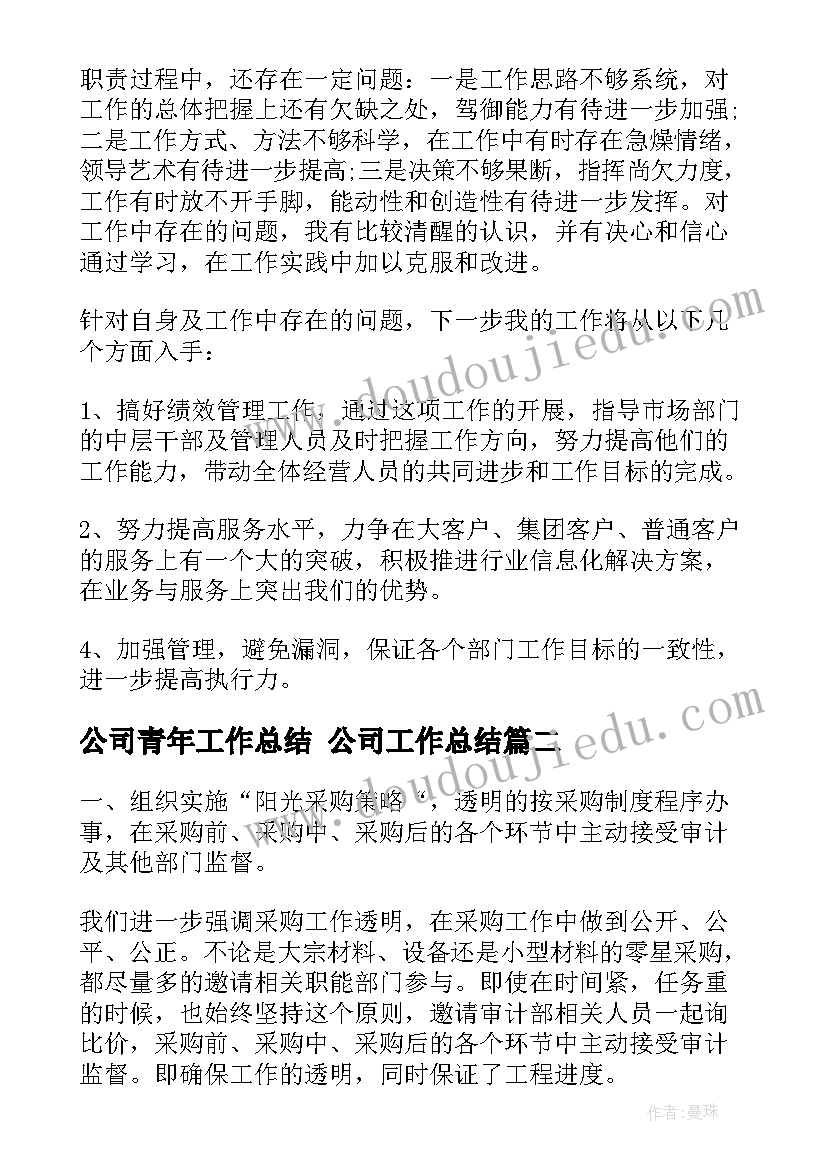 2023年公司青年工作总结 公司工作总结(模板9篇)