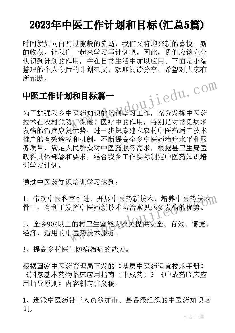 2023年中医工作计划和目标(汇总5篇)