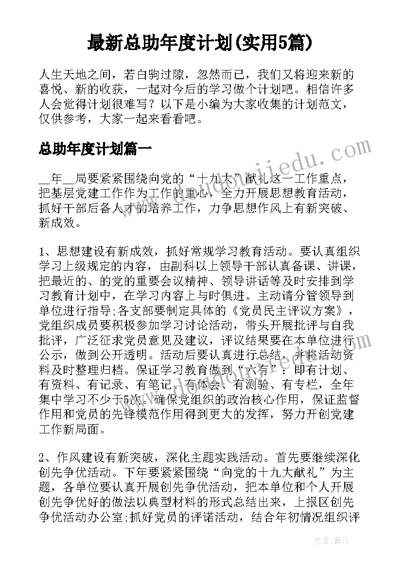 最新总助年度计划(实用5篇)