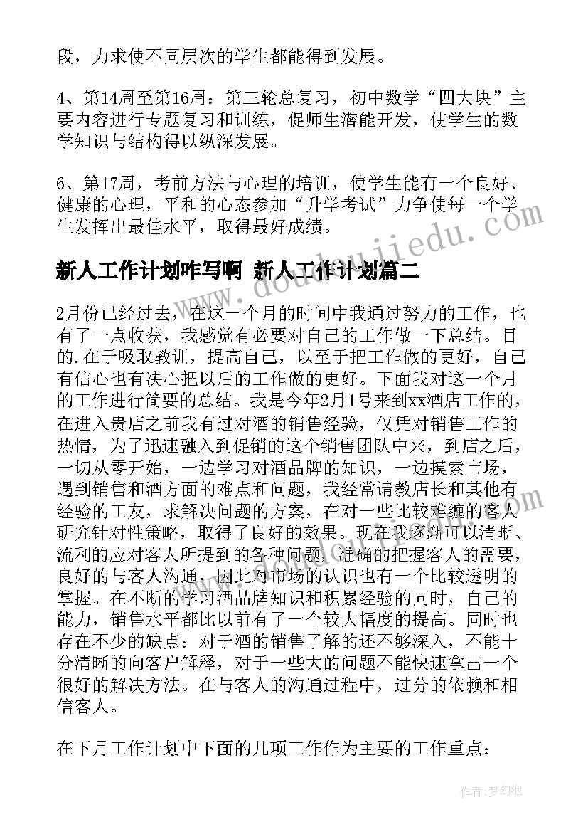 新人工作计划咋写啊 新人工作计划(大全8篇)