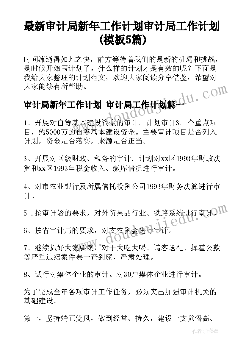 最新审计局新年工作计划 审计局工作计划(模板5篇)