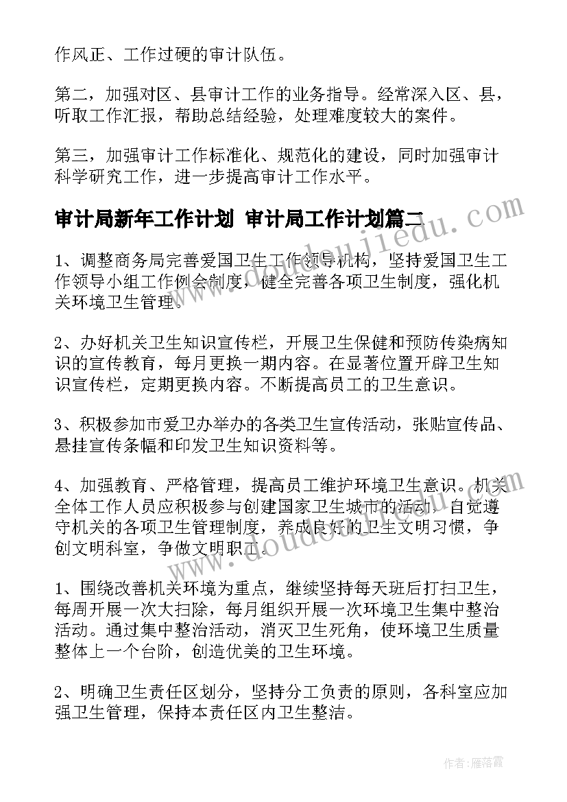 最新审计局新年工作计划 审计局工作计划(模板5篇)