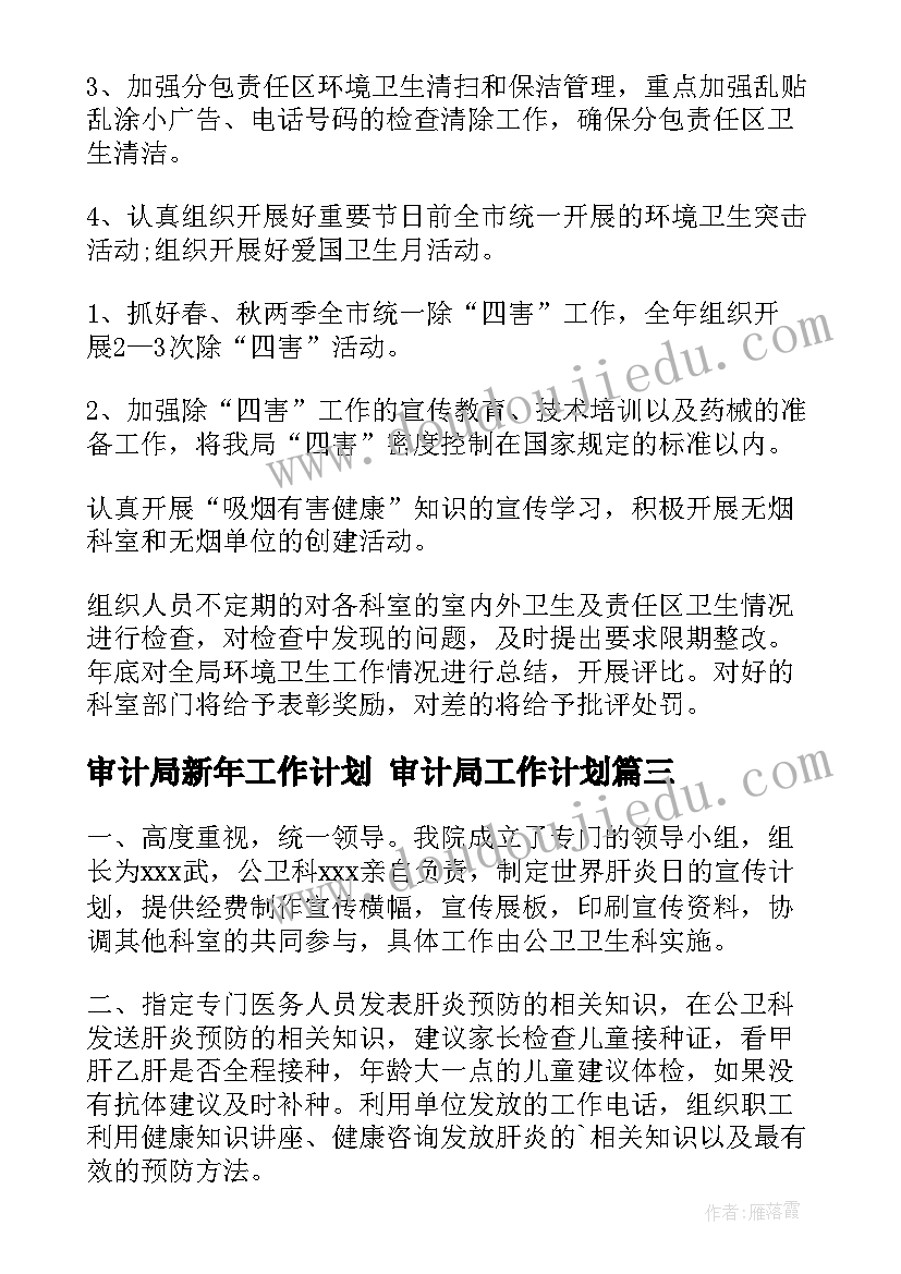 最新审计局新年工作计划 审计局工作计划(模板5篇)