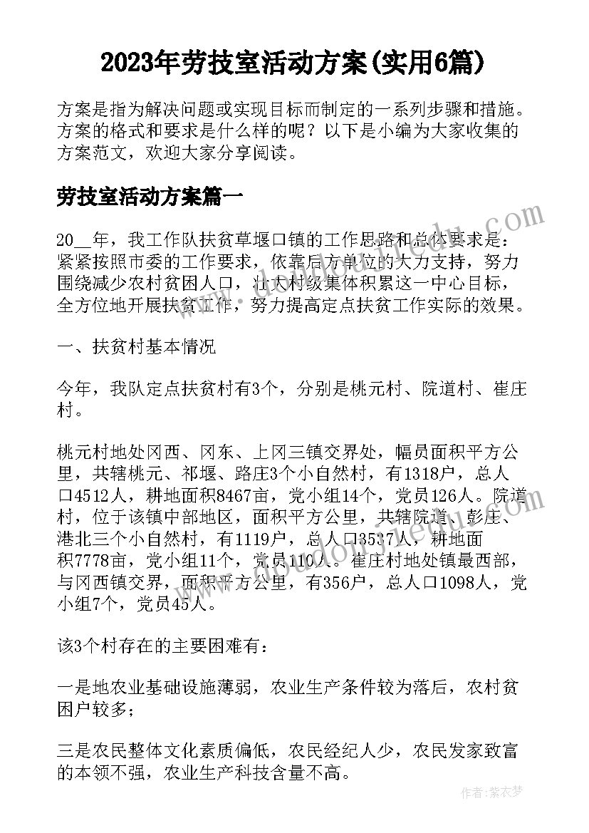 2023年劳技室活动方案(实用6篇)