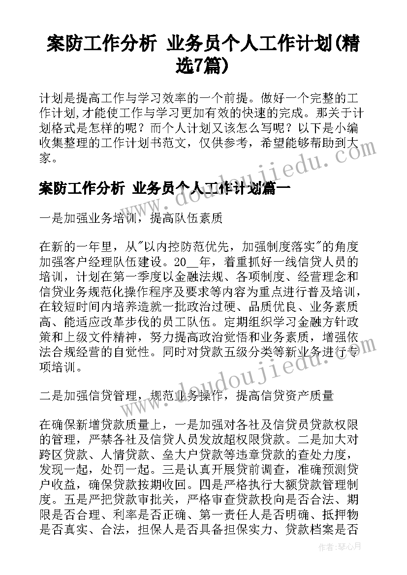 案防工作分析 业务员个人工作计划(精选7篇)