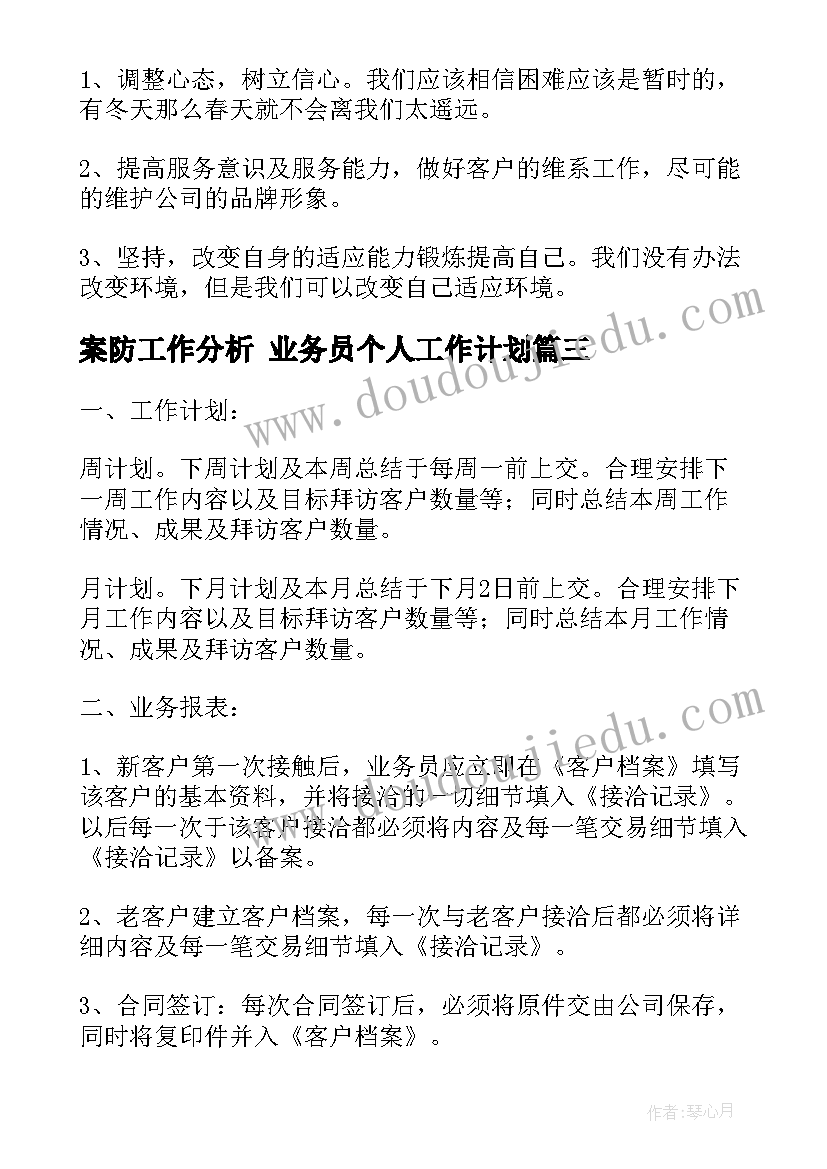 案防工作分析 业务员个人工作计划(精选7篇)