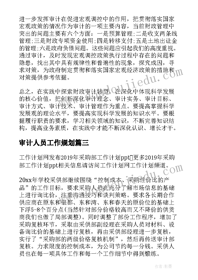 2023年审计人员工作规划(实用7篇)