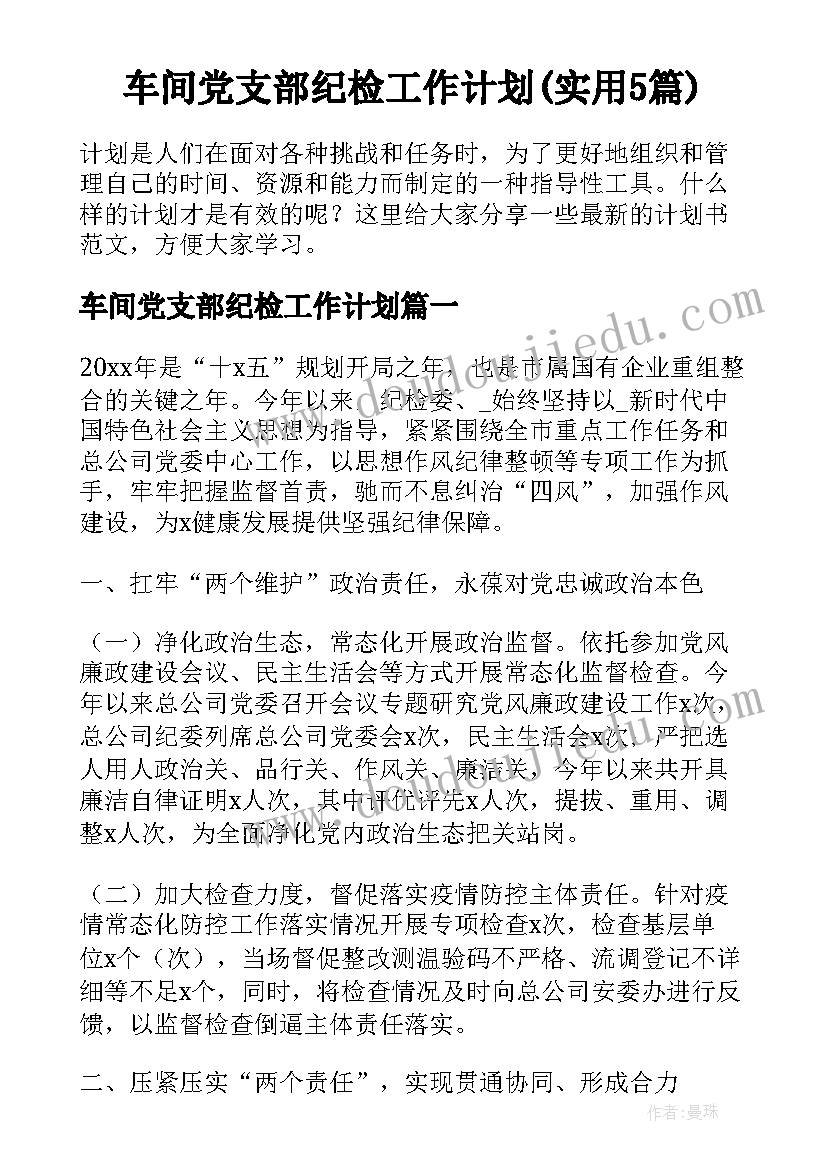 车间党支部纪检工作计划(实用5篇)