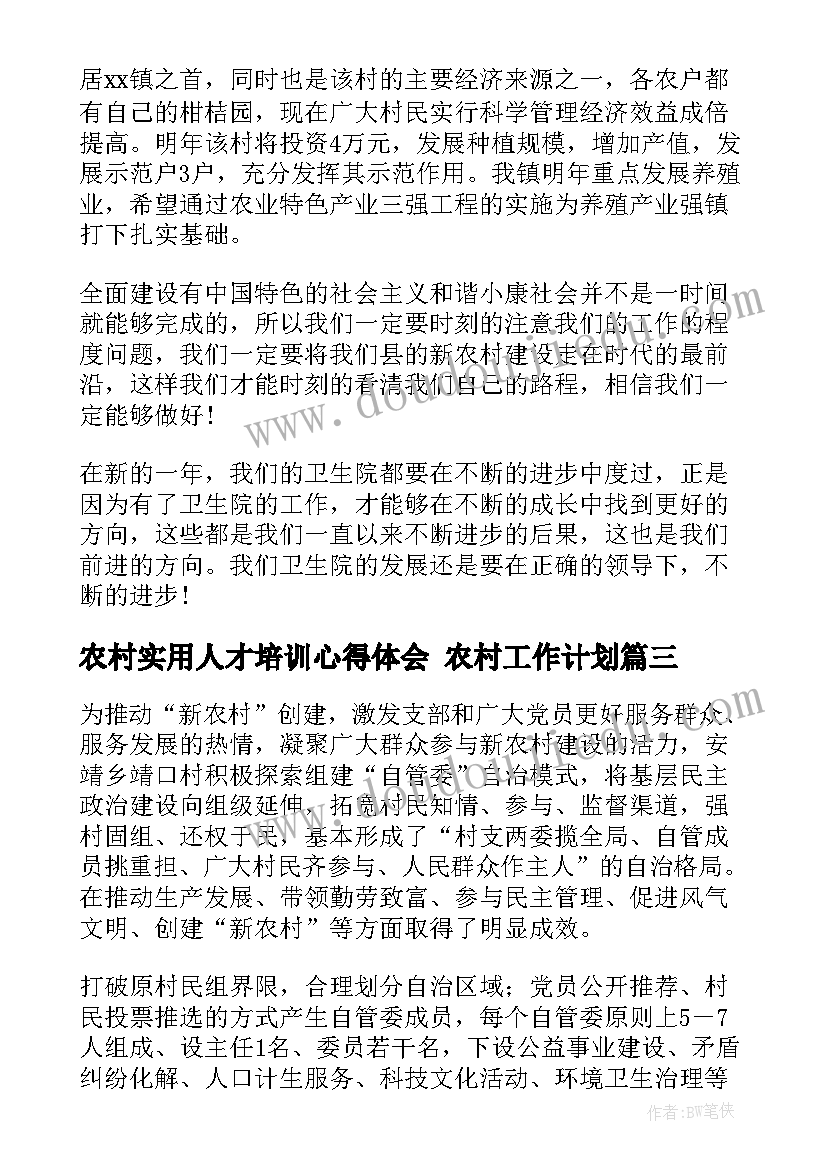 2023年农村实用人才培训心得体会 农村工作计划(实用7篇)