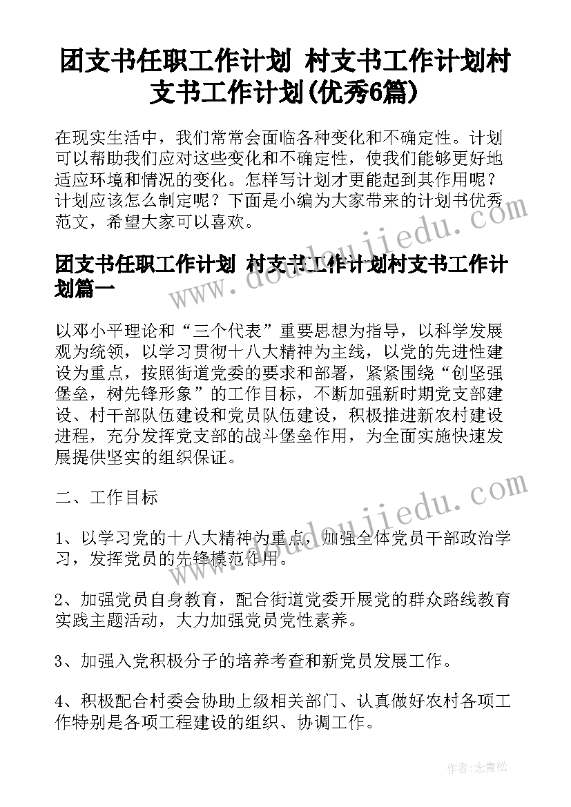 团支书任职工作计划 村支书工作计划村支书工作计划(优秀6篇)