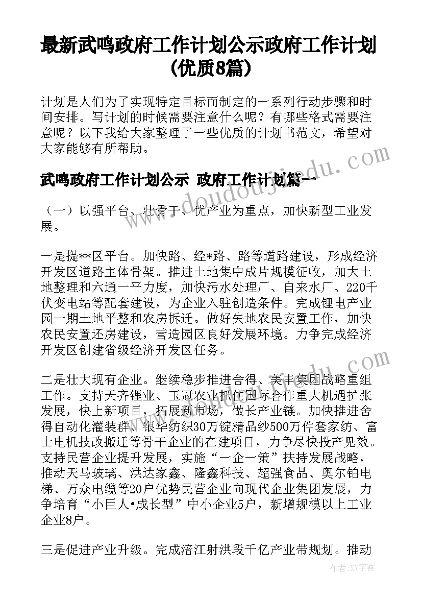 最新武鸣政府工作计划公示 政府工作计划(优质8篇)