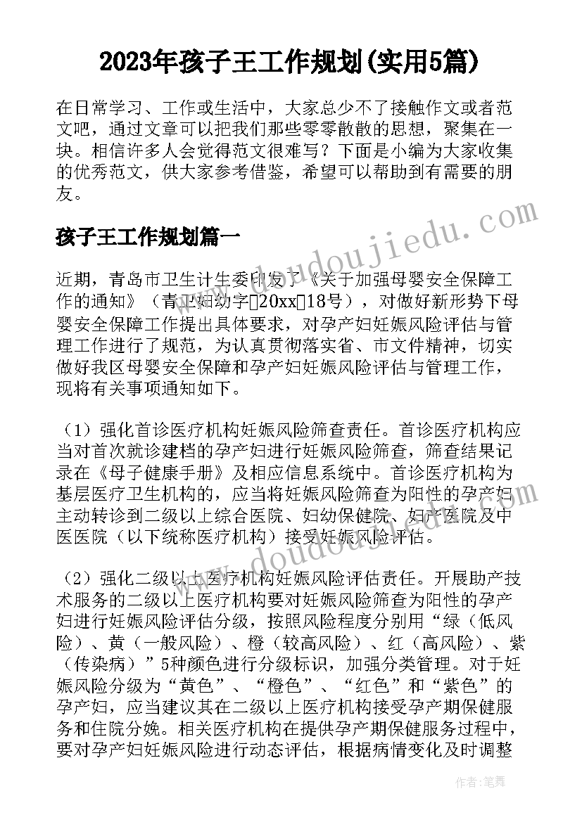 2023年孩子王工作规划(实用5篇)