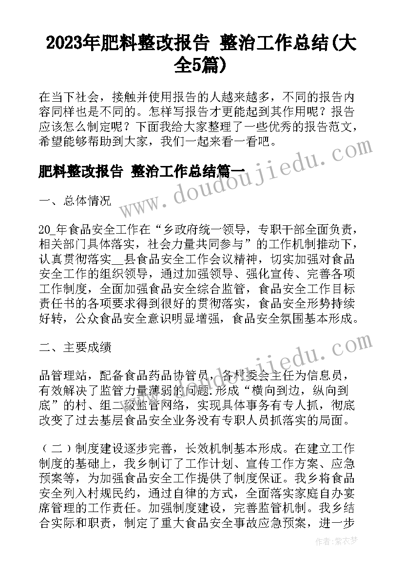 2023年肥料整改报告 整治工作总结(大全5篇)