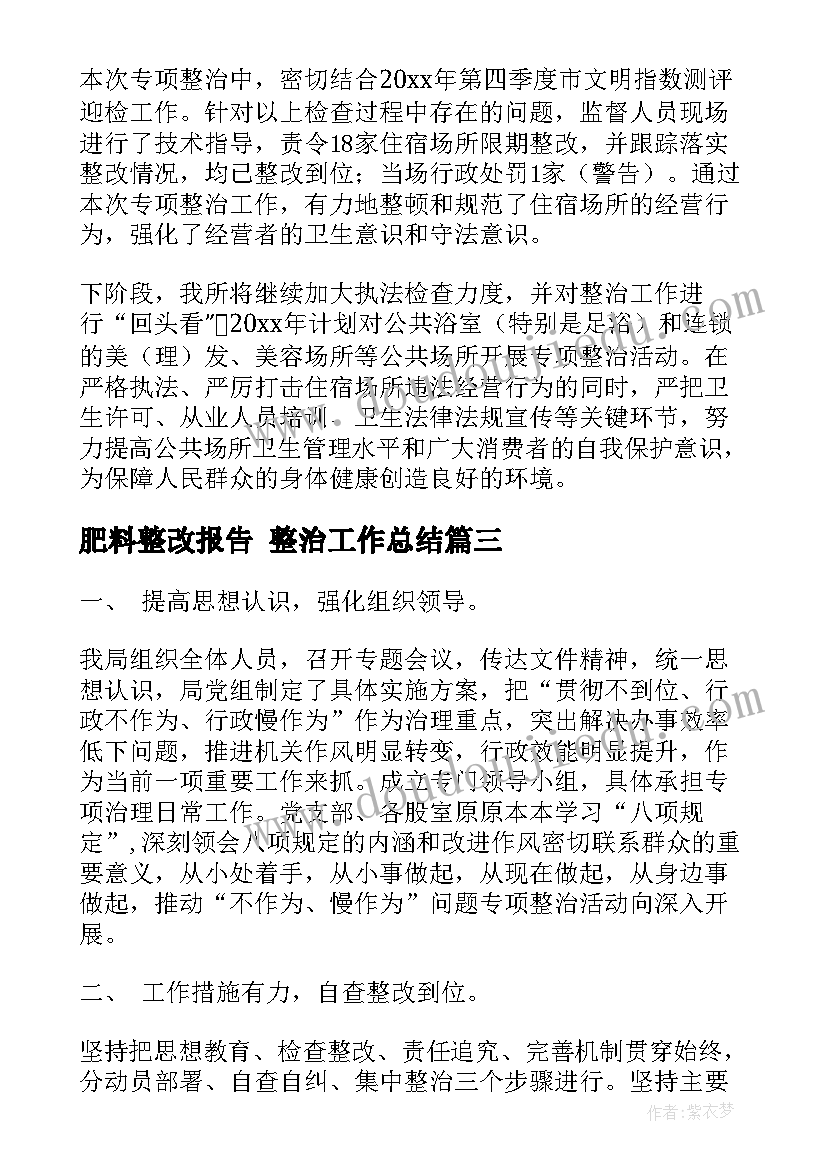 2023年肥料整改报告 整治工作总结(大全5篇)