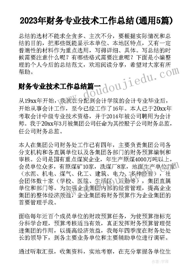 2023年财务专业技术工作总结(通用5篇)