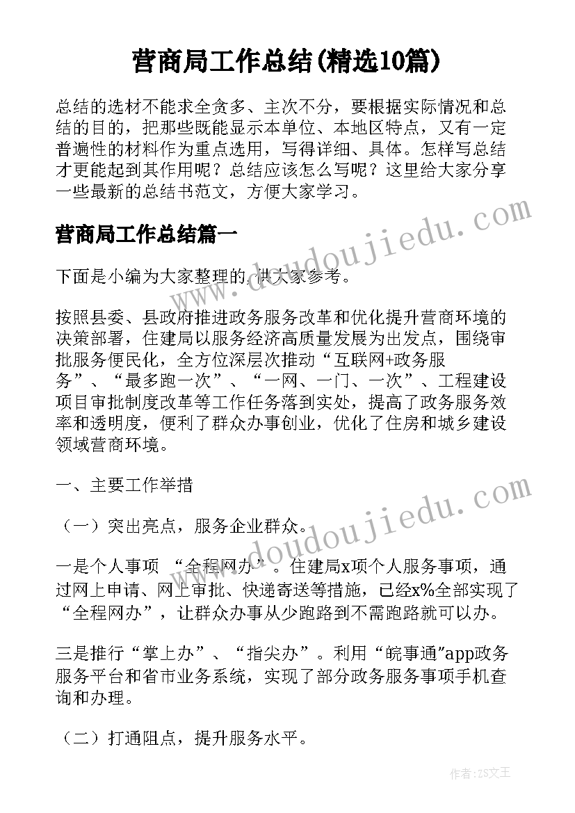 营商局工作总结(精选10篇)