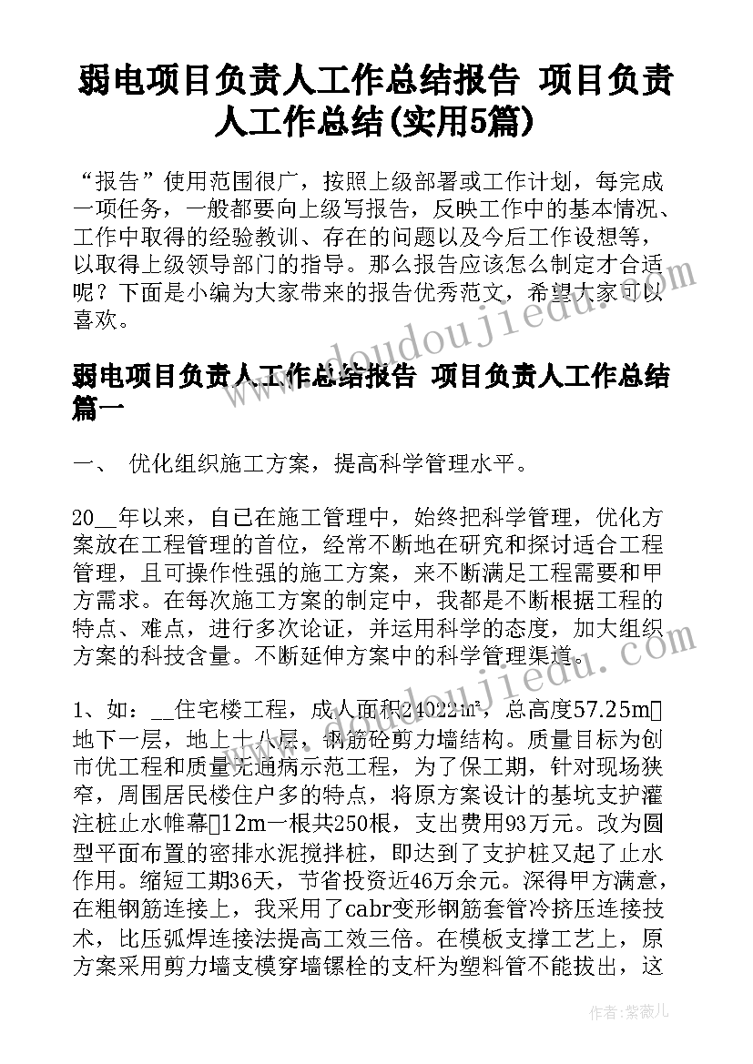 弱电项目负责人工作总结报告 项目负责人工作总结(实用5篇)