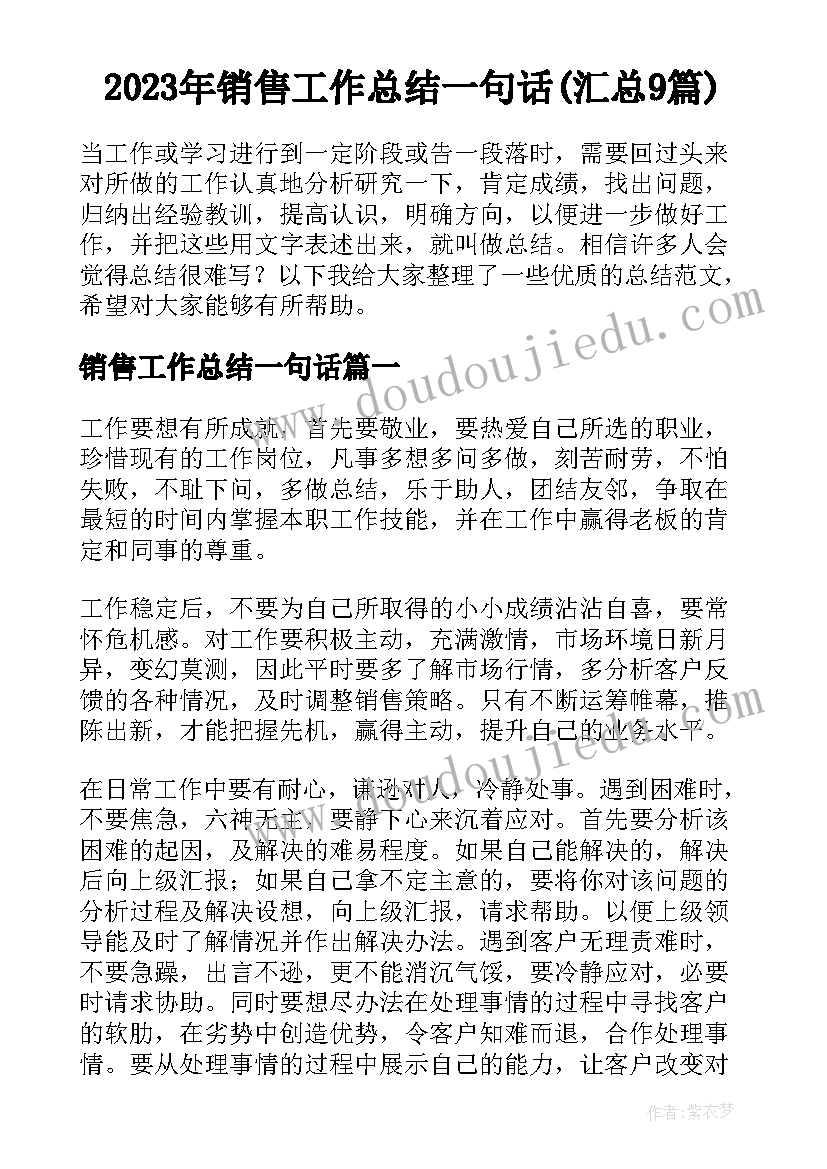 2023年销售工作总结一句话(汇总9篇)