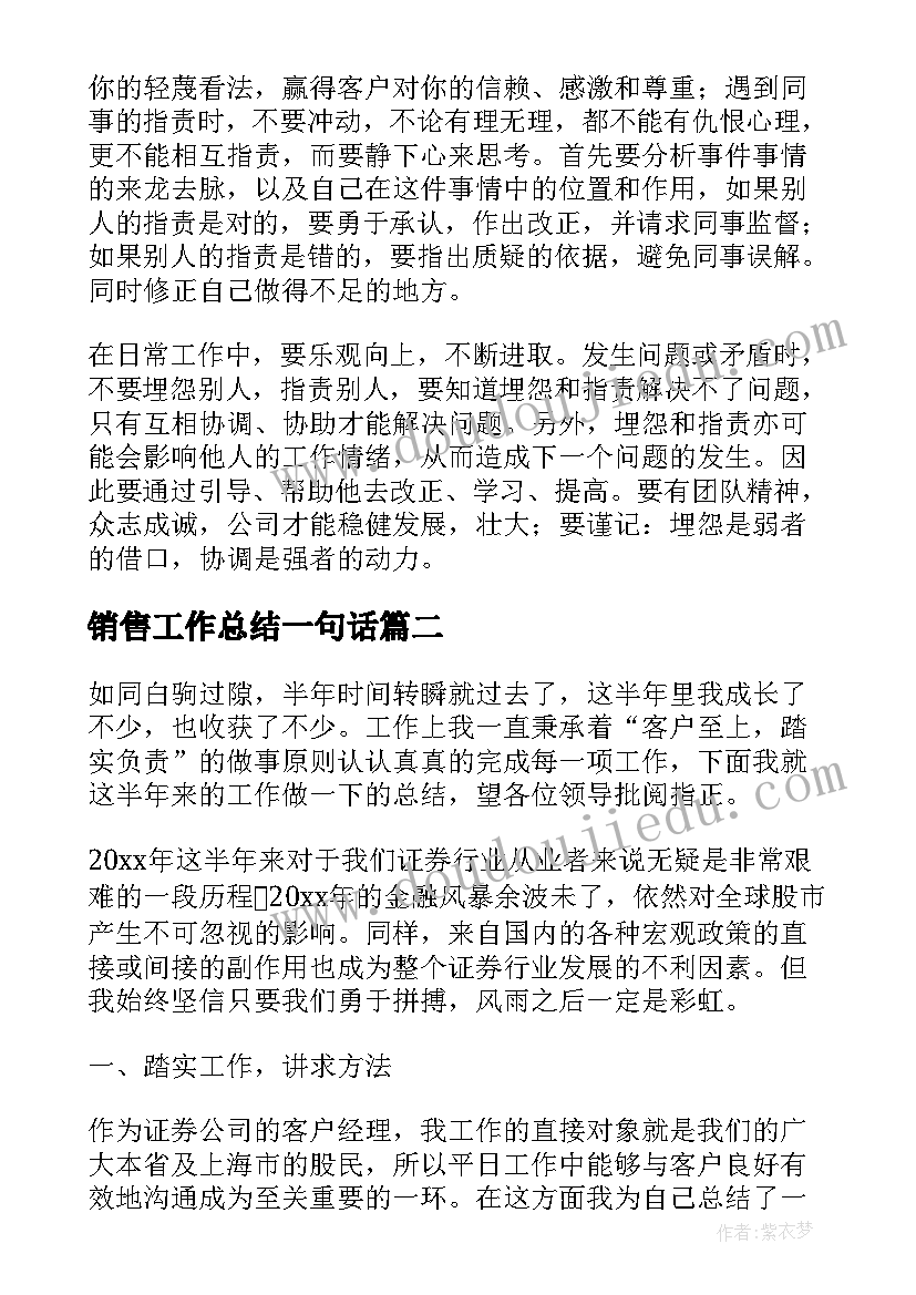 2023年销售工作总结一句话(汇总9篇)