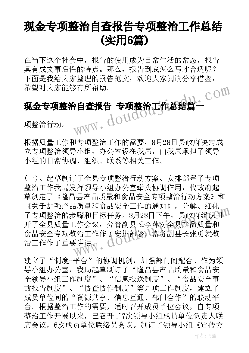 现金专项整治自查报告 专项整治工作总结(实用6篇)