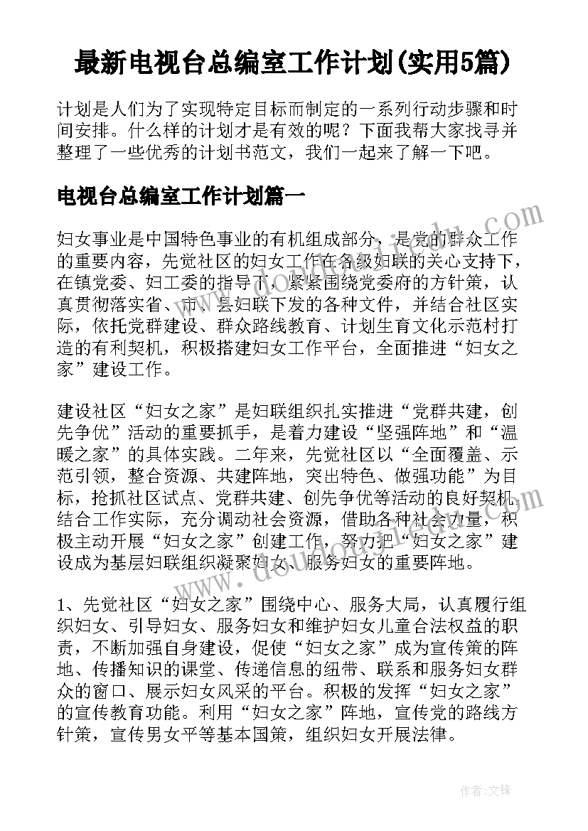 最新电视台总编室工作计划(实用5篇)