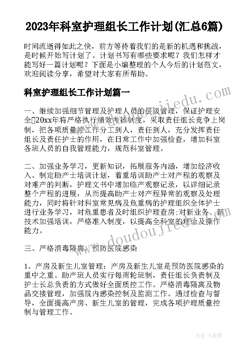 2023年科室护理组长工作计划(汇总6篇)