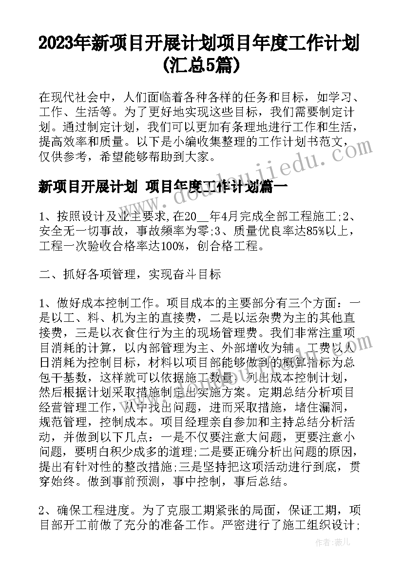 2023年新项目开展计划 项目年度工作计划(汇总5篇)