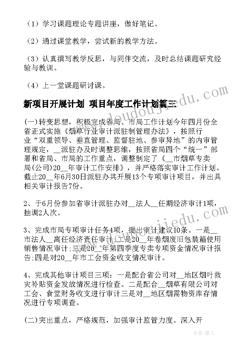 2023年新项目开展计划 项目年度工作计划(汇总5篇)