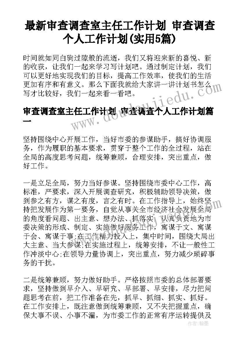 最新审查调查室主任工作计划 审查调查个人工作计划(实用5篇)