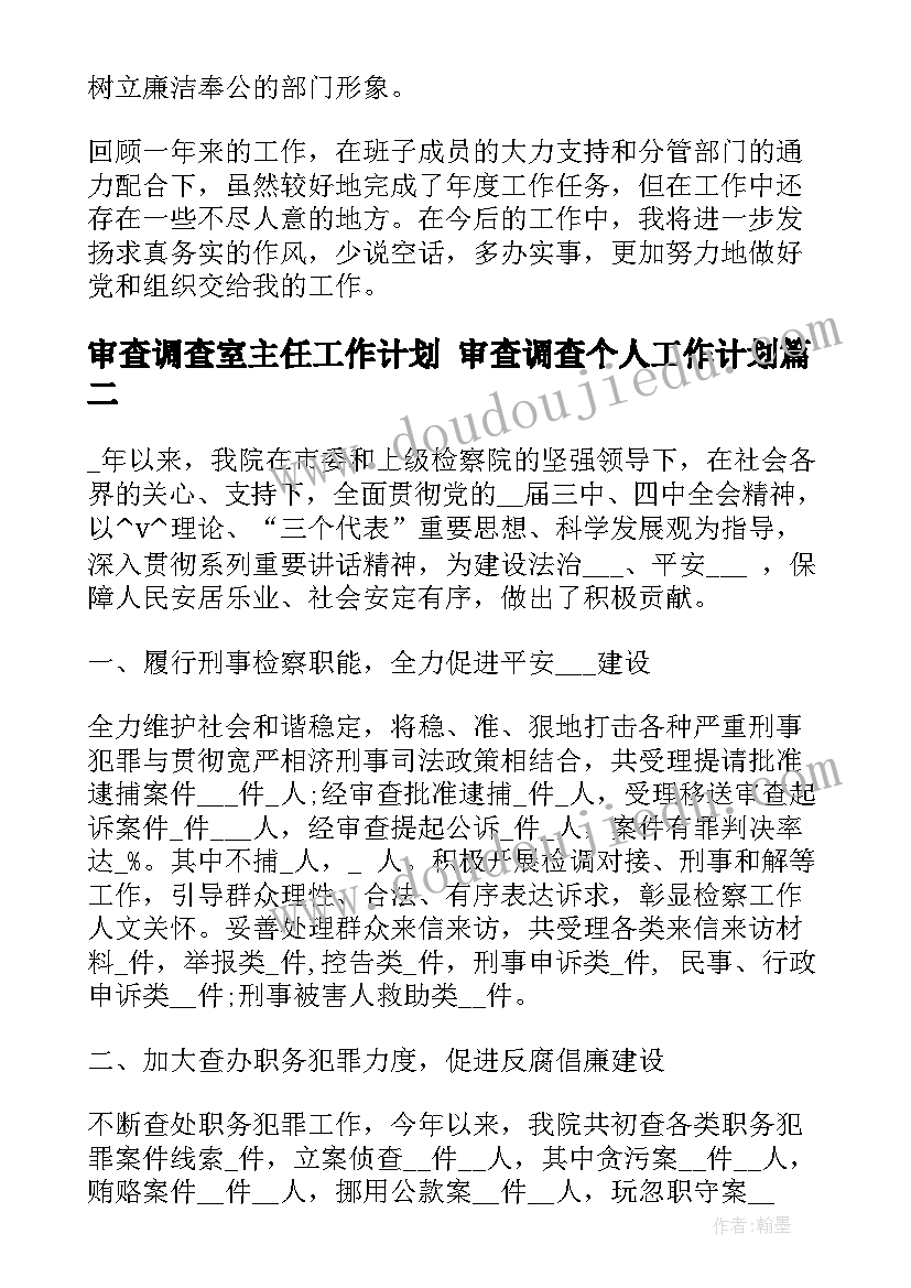 最新审查调查室主任工作计划 审查调查个人工作计划(实用5篇)