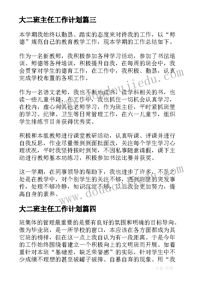 2023年大二班主任工作计划(精选8篇)