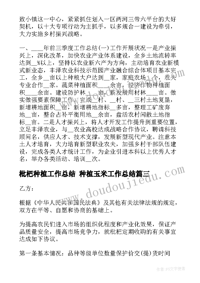 枇杷种植工作总结 种植玉米工作总结(大全6篇)