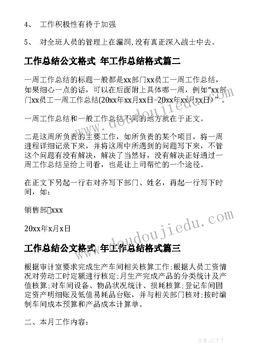 2023年工作总结公文格式 年工作总结格式(模板6篇)