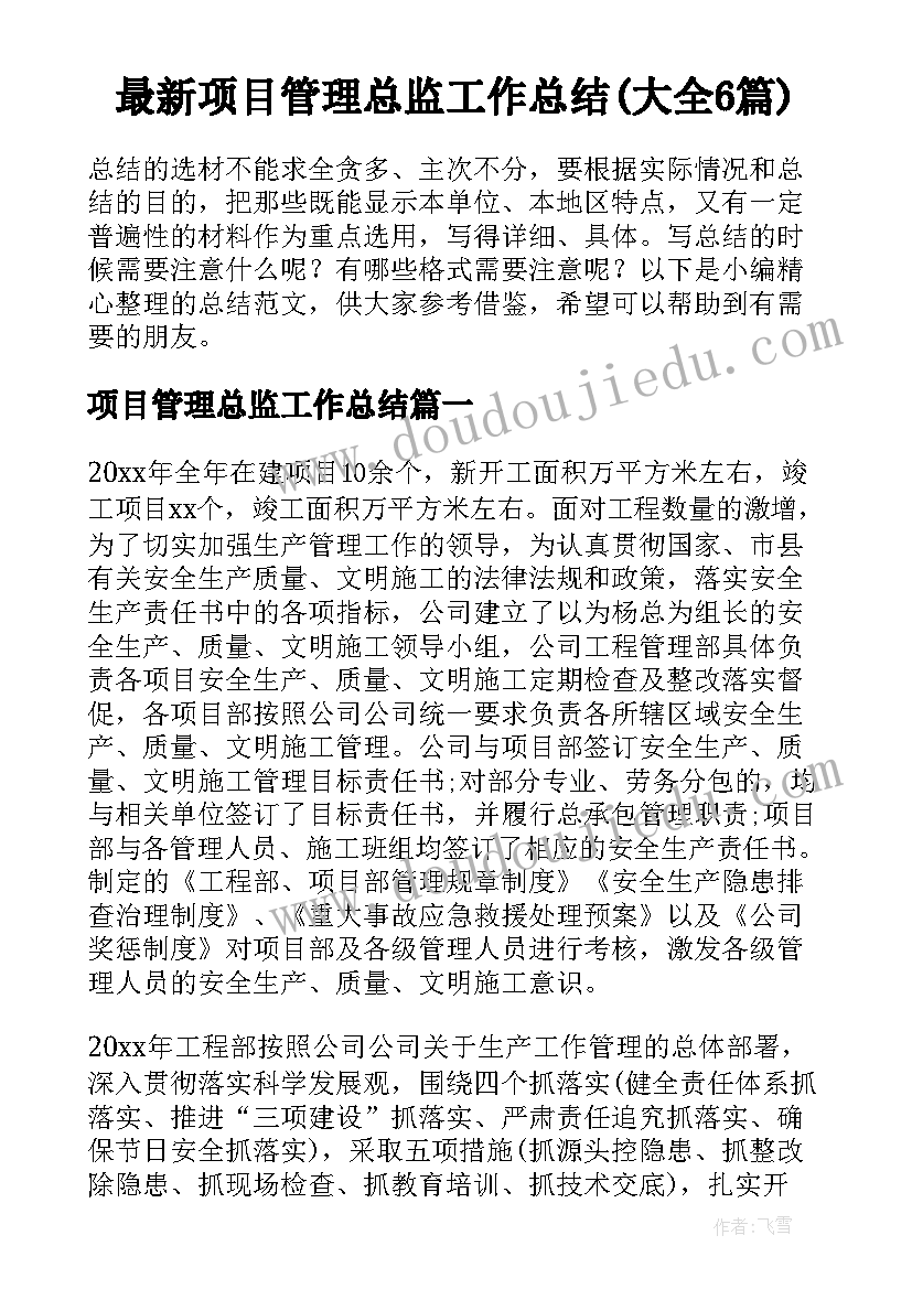 最新项目管理总监工作总结(大全6篇)